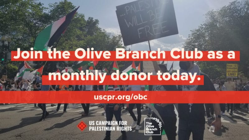 Join the Olive Branch Club as a monthly donor today